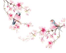 1374 Birds